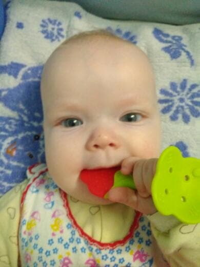 Silicone Baby Fruit Tree Teether 5PCs/set -18